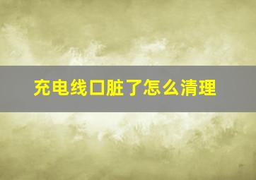 充电线口脏了怎么清理