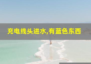 充电线头进水,有蓝色东西