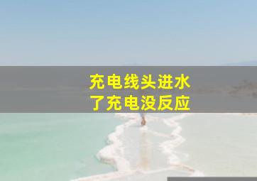 充电线头进水了充电没反应