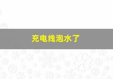 充电线泡水了