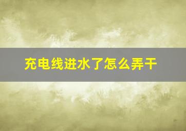 充电线进水了怎么弄干