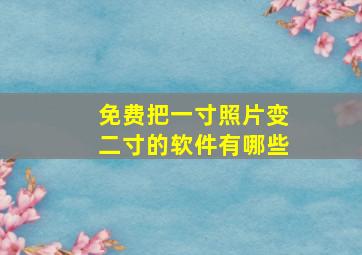 免费把一寸照片变二寸的软件有哪些