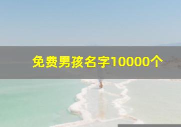 免费男孩名字10000个