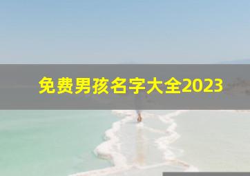 免费男孩名字大全2023