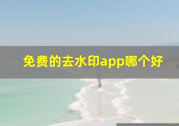 免费的去水印app哪个好