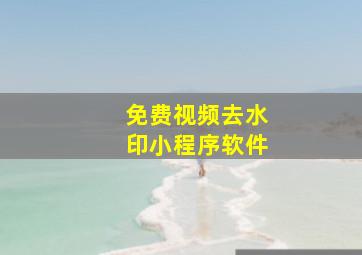 免费视频去水印小程序软件