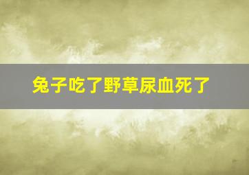 兔子吃了野草尿血死了