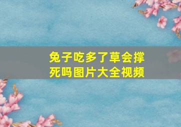 兔子吃多了草会撑死吗图片大全视频