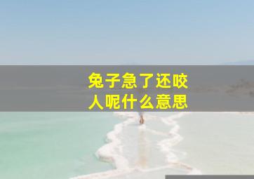 兔子急了还咬人呢什么意思