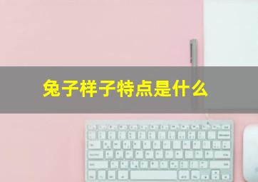 兔子样子特点是什么