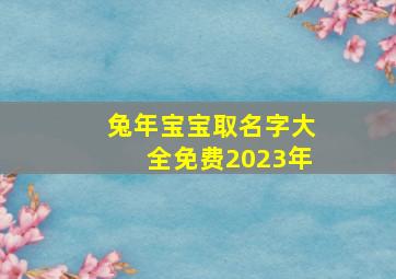 兔年宝宝取名字大全免费2023年