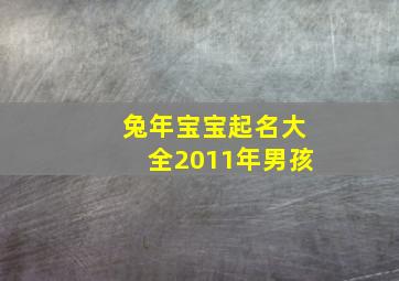 兔年宝宝起名大全2011年男孩