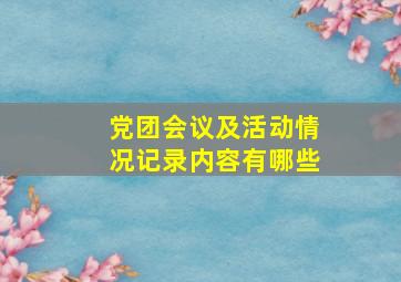 党团会议及活动情况记录内容有哪些