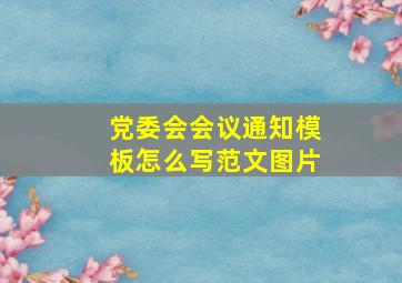 党委会会议通知模板怎么写范文图片