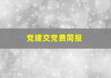 党建交党费简报