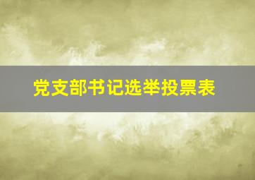 党支部书记选举投票表