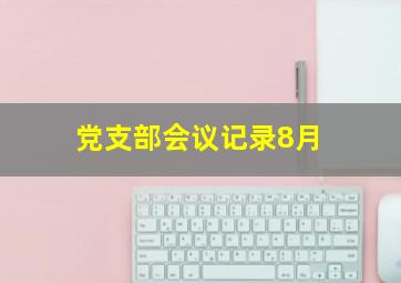 党支部会议记录8月