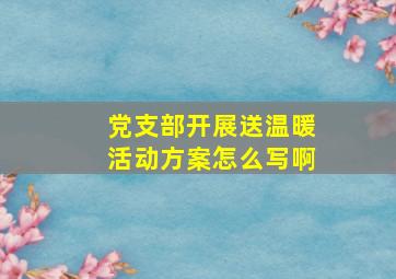 党支部开展送温暖活动方案怎么写啊