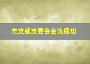 党支部支委会会议通知