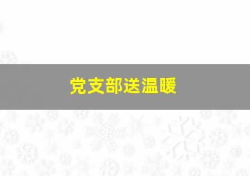 党支部送温暖