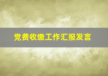 党费收缴工作汇报发言