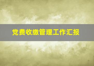 党费收缴管理工作汇报