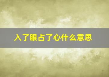 入了眼占了心什么意思