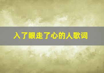 入了眼走了心的人歌词