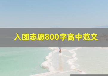 入团志愿800字高中范文