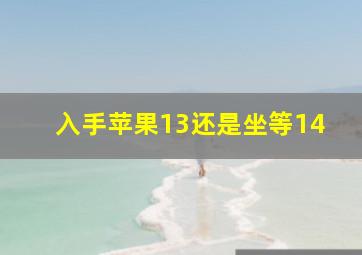 入手苹果13还是坐等14