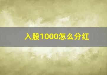 入股1000怎么分红