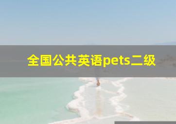 全国公共英语pets二级