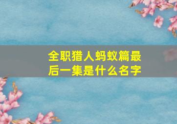 全职猎人蚂蚁篇最后一集是什么名字