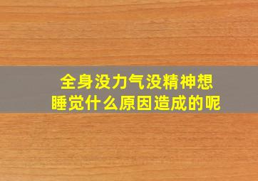 全身没力气没精神想睡觉什么原因造成的呢