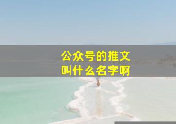 公众号的推文叫什么名字啊