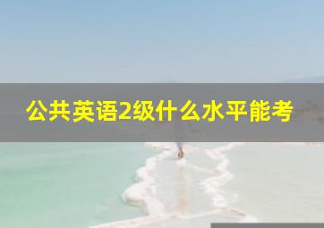 公共英语2级什么水平能考