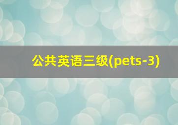 公共英语三级(pets-3)