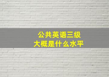 公共英语三级大概是什么水平