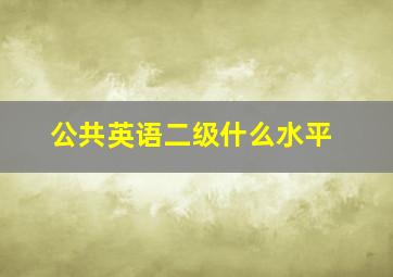 公共英语二级什么水平