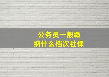 公务员一般缴纳什么档次社保