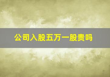 公司入股五万一股贵吗