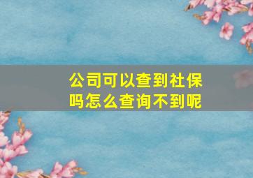 公司可以查到社保吗怎么查询不到呢