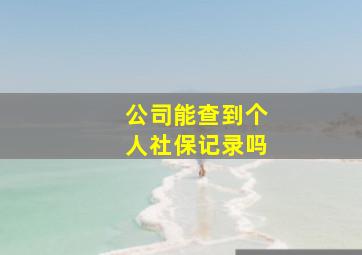 公司能查到个人社保记录吗