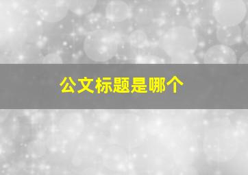 公文标题是哪个