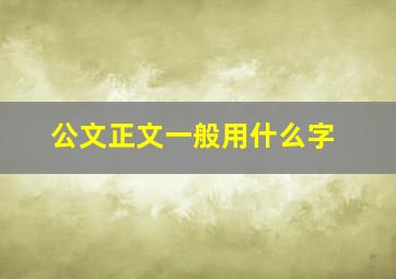 公文正文一般用什么字