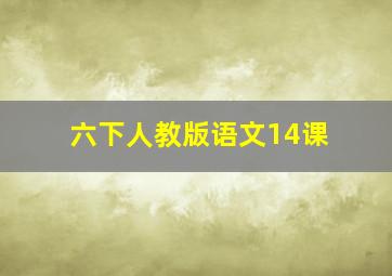 六下人教版语文14课