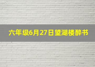 六年级6月27日望湖楼醉书