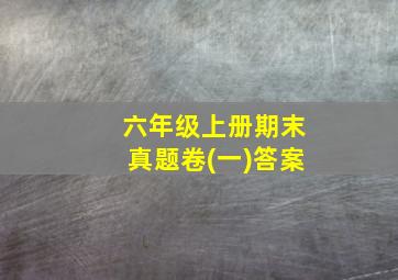 六年级上册期末真题卷(一)答案