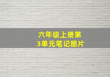 六年级上册第3单元笔记图片