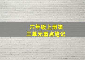 六年级上册第三单元重点笔记